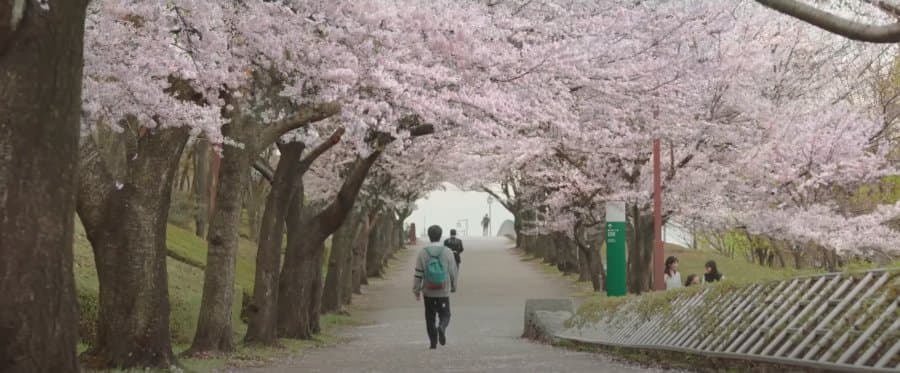 ReLIFE