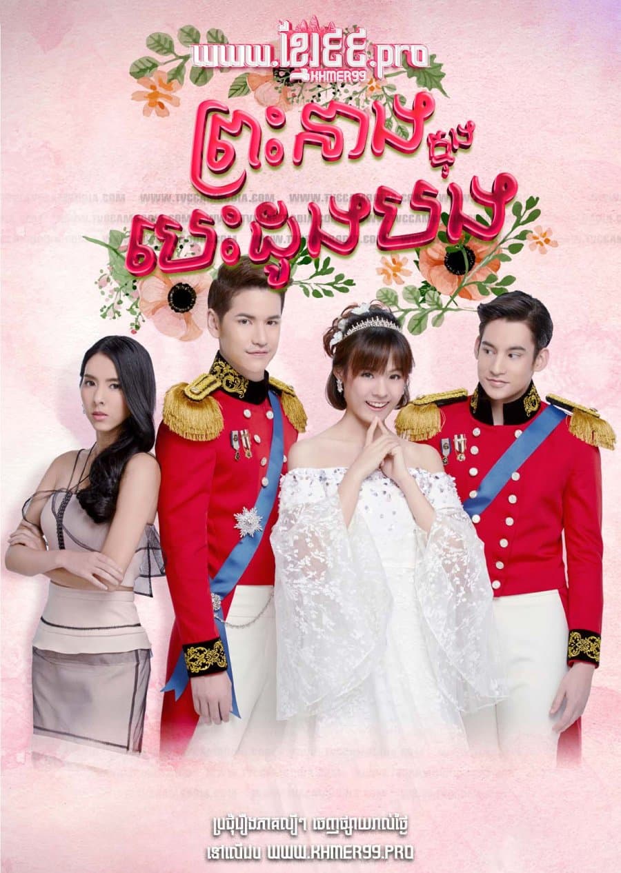 Princess Hours