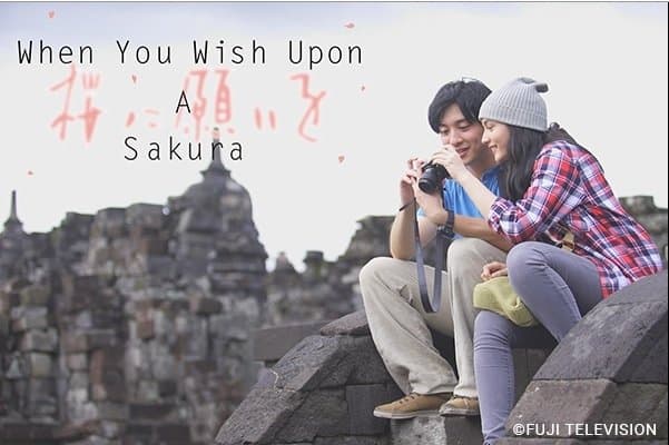Sakura ni Negai Wo