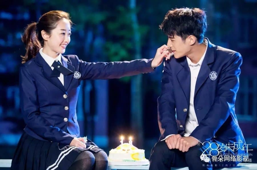 Suddenly Seventeen